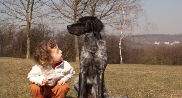 Il compagno peloso: vivere con un cane da caccia in famiglia